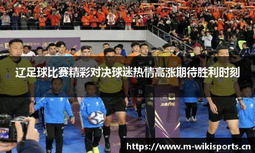 辽足球比赛精彩对决球迷热情高涨期待胜利时刻