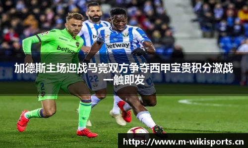 维基体育官方网站